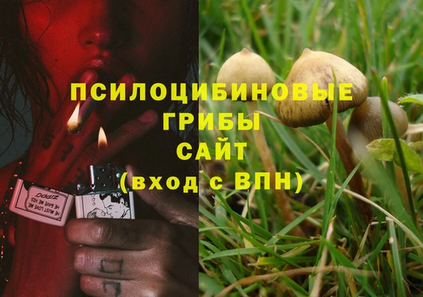 ГАЛЛЮЦИНОГЕННЫЕ ГРИБЫ Абинск