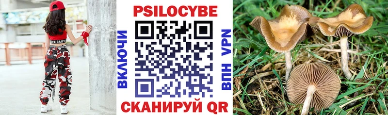 Галлюциногенные грибы GOLDEN TEACHER Троицк